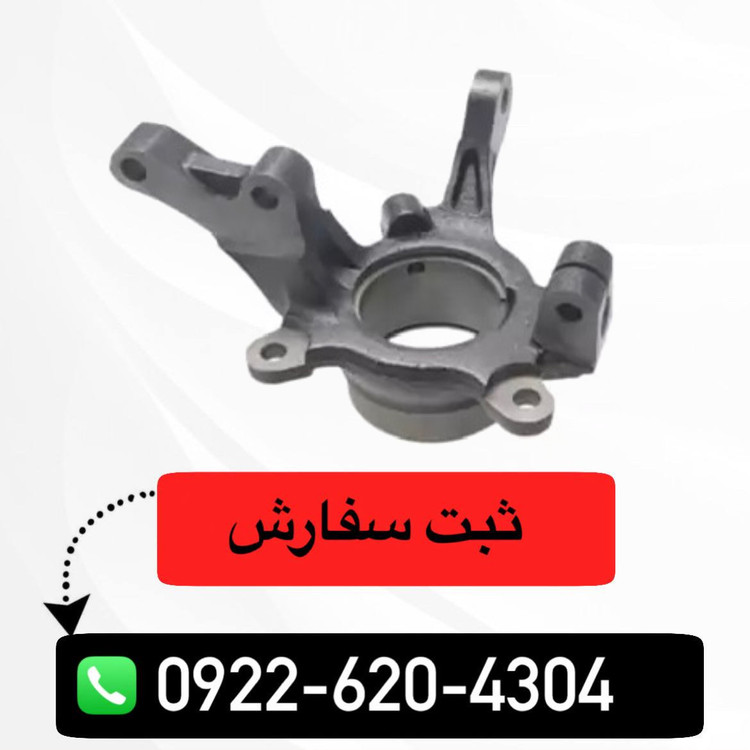 سگدست چپ شاهین