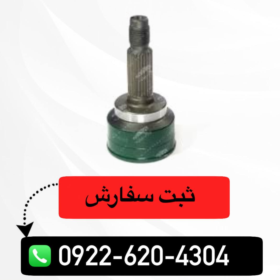 سرپلوس شاهین