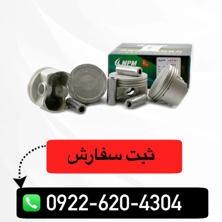 پیستون و گژن پین آریو z300